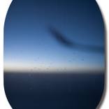 Collection Art for Fresh Starts