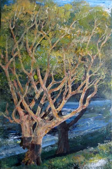 Print of Impressionism Tree Paintings by Tamara Ucolov