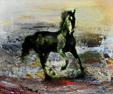 Original Abstract Horse Mixed Media by Mirjana Martinovic
