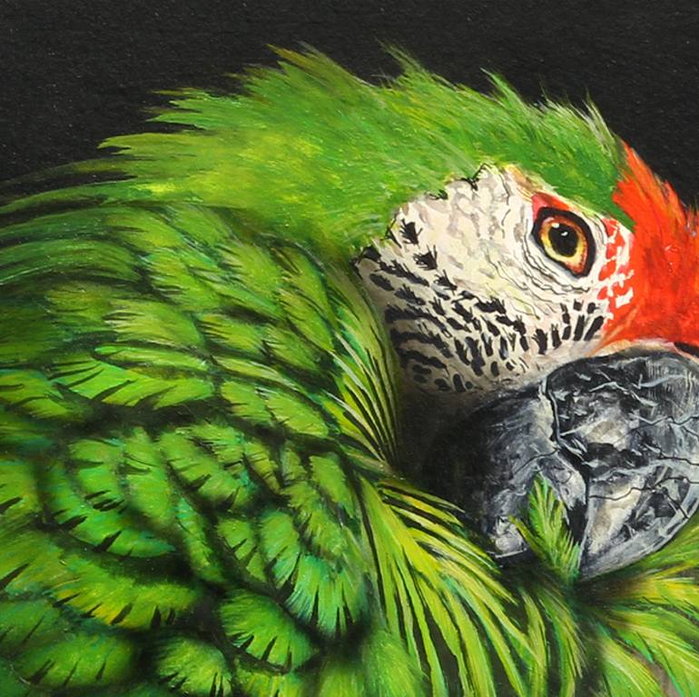 Original Fine Art Animal Painting by Paul Margocsy