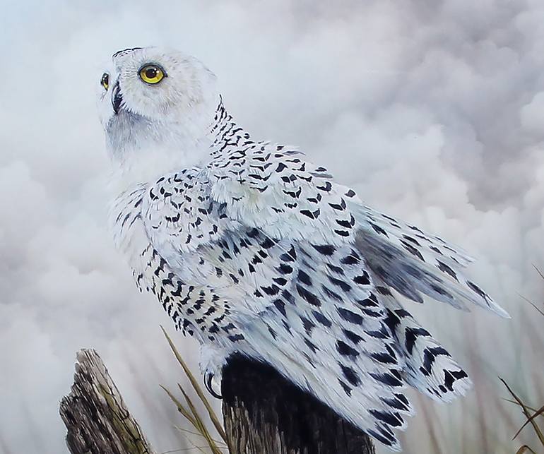 Original Other Animal Painting by Paul Margocsy