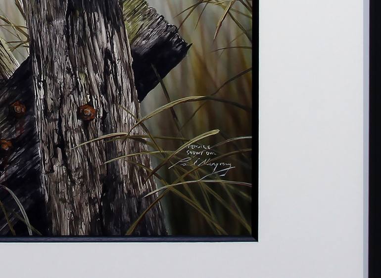 Original Other Animal Painting by Paul Margocsy