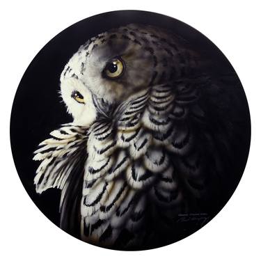 U.S. Snowy Owl thumb