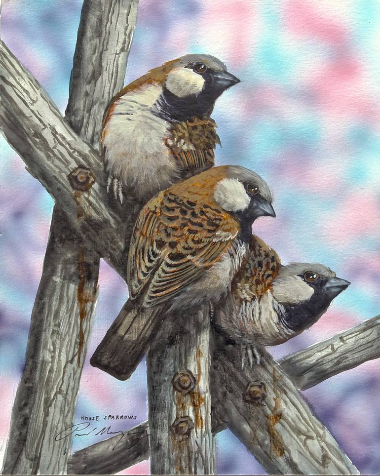 View in a Room Artwork