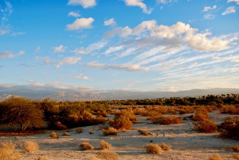 Sunset in Palm Desert Limited Edition of 25 Photography by Ellen Averick Schor Saatchi Art