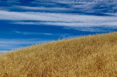 Original Fine Art Landscape Photography by Ellen Averick Schor