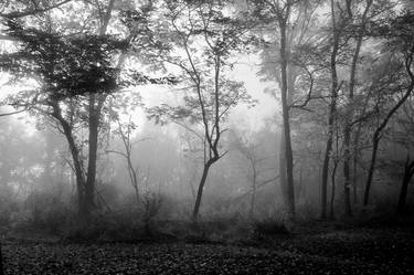 Misty Morning, Clifty Falls, Indiana - Limited Edition of 25 thumb