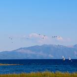 Sailing into Sunset on Lake Tahoe - Limited Edition of 25 by Ellen Averick Schor