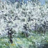 Collection Monet’s Garden