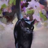 black velvet by Susana Infurna Buscarino