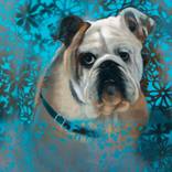 Spencer by Susana Infurna Buscarino