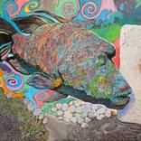 Fish Knows Everything by Ramaz Razmadze