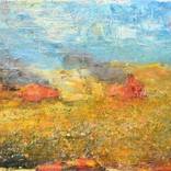 wildfires by john barry