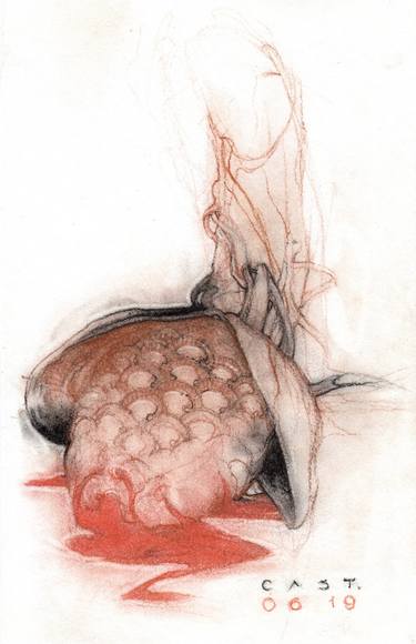 Original Figurative Botanic Drawings by Sandro Castelli