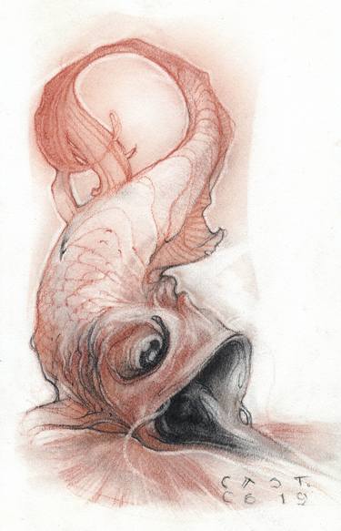 Original Realism Animal Drawings by Sandro Castelli