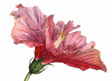 Print of Expressionism Floral Paintings by Ruby Davis