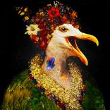 Collection Bird Headed & Surreal