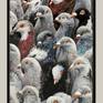 The Empire of Candour framed
