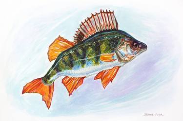 Print of Fine Art Fish Paintings by Katreen Queen