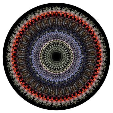 Bichos -Mandala Polka- - Limited Edition of 13 thumb