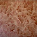 Soft Fascination by Lisa-Marie Price