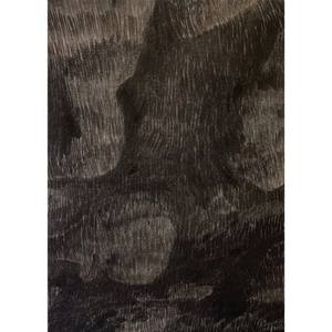 Gleaming Dark Leaves