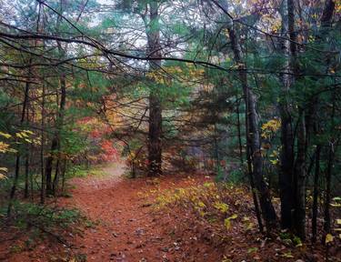 Before the Clearing - Autumn, Print #1 - Limited Edition of 15 thumb