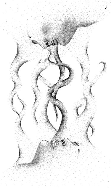 Print of Love Drawings by Janko Teofilovic