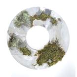 Collection Earthly Delights