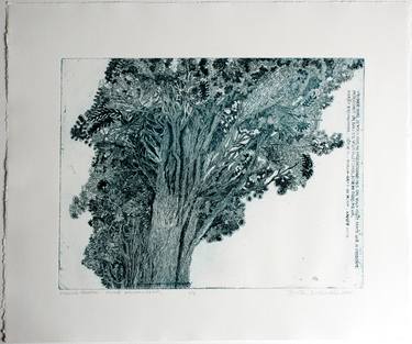 Print of Conceptual Landscape Printmaking by Marta Hucall