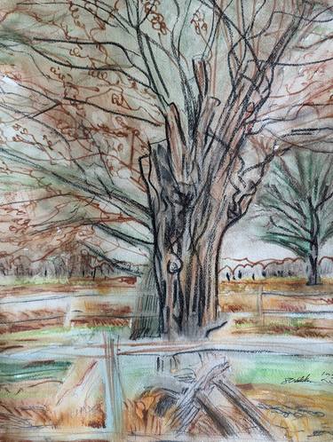 Ancient Oak Tree with fence, Richmond Park, Mar 2023 thumb