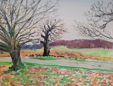 Ancient Oak Trees, Richmond Park, Jan 2022 thumb