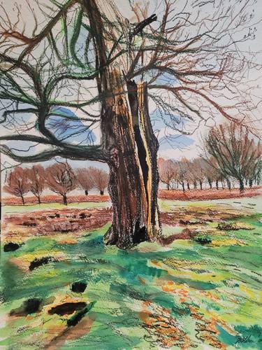 Broken Ancient Oak Tree, Richmond Park, Jan 2022 thumb