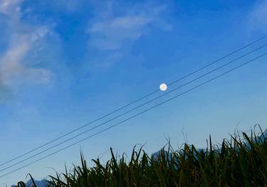 Moon Song (Over Sugar Cane) - Limited Edition of 1 thumb