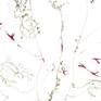 fragment