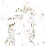fragment