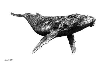 Original Black & White Animal Drawing by Manuel Adrianzen