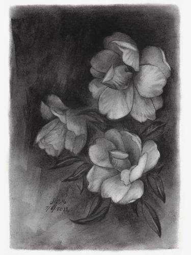 Print of Floral Drawings by Hagar Elgammal