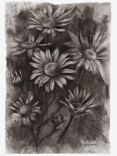 Print of Floral Drawings by Hagar Elgammal