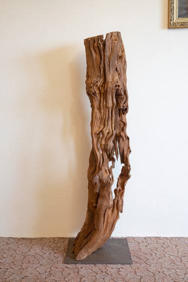 "Beauty of the absence" - Morus nigra decorative sculpture thumb