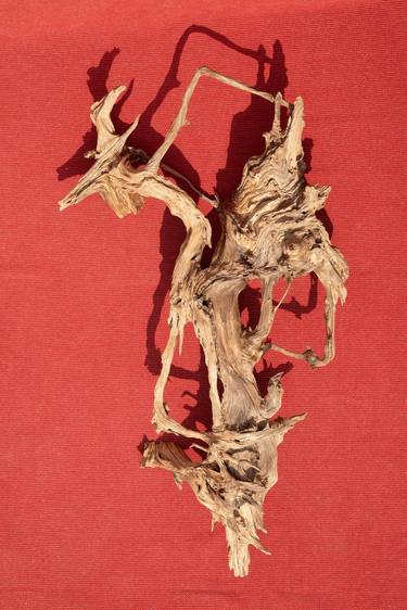 "The Dying Dragon" - Pine hanging sculpture thumb
