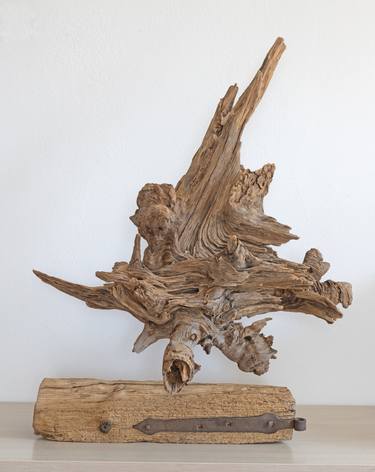 Alien yacht - pine decorative sculpture on the drift wood stand thumb