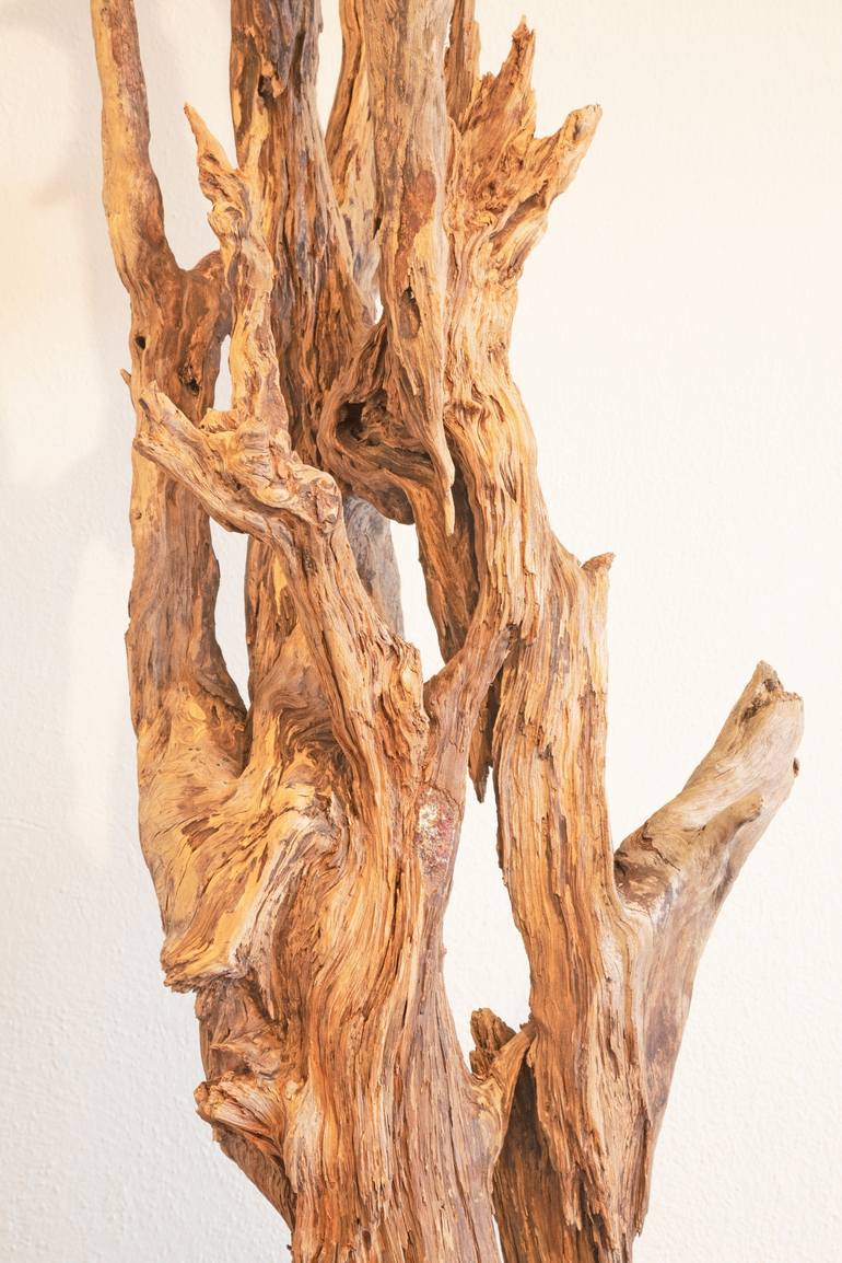 Original Abstract Nature Sculpture by Jozef Sedmak