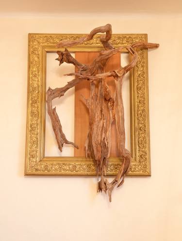 Pine organic sculpture in the old renovated gold frame thumb
