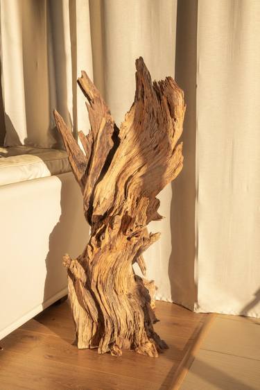 Moses' burning bush - Pine decorative sculpture thumb