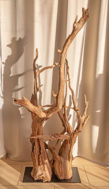 Last survivor - Pine decorative sculpture thumb