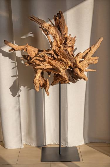 Acacia root sculpture thumb