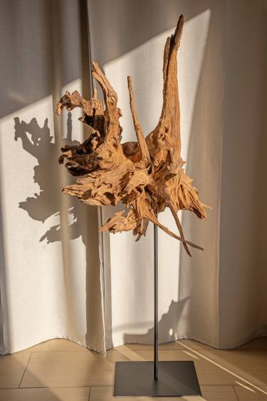 Tozro of an ancient creature - Acacia root sculpture 2 thumb