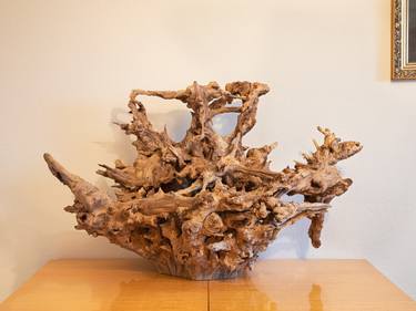 The structure of universe - acacia root sculpture thumb