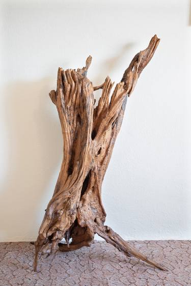 "Free, at last" - Acacia root sculpture thumb